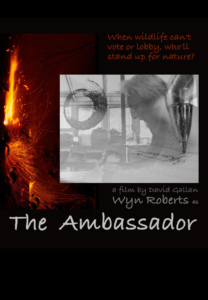 7a-poster_The Ambassador